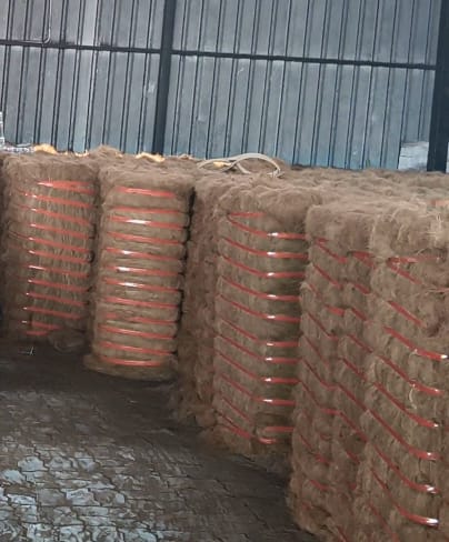 Coir Fibre